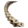 DID 420 NZ3 Chain (GOLD or BLACK)
