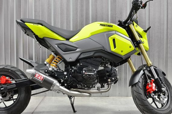 MNNTHBX Fender Eliminator for 2017-2020 Honda Grom