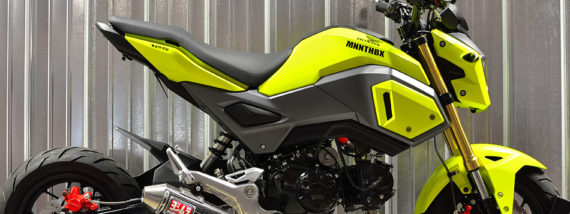 MNNTHBX Fender Eliminator for 2017-2020 Honda Grom