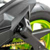 DSC_3660 MNNTHBX Kawasaki Z125 Sliders