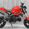SSR Razkull Fender Eliminator by MNNTHBX