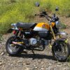 Yoshimura JDM Straight Cyclone Full Exhaust for Honda Monkey