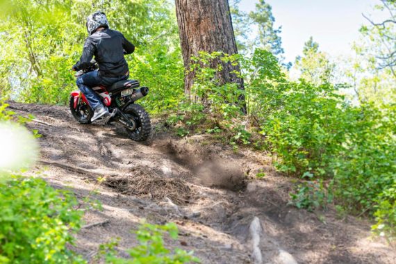 Shinko-Mobber-Tires-First-Look-Motorcycle-Dual-Sport-Grom-Z125-TNT135-4 Shinko Mobber Knobby 12" Tire