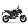 Leo Vince Corsa Evo Carbon Fiber - Full Exhaust System Kawasaki Z125 (PRE ORDER)