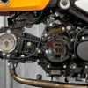 OTB Clear Cam Cover for Honda - (4 COLOR OPTIONS)