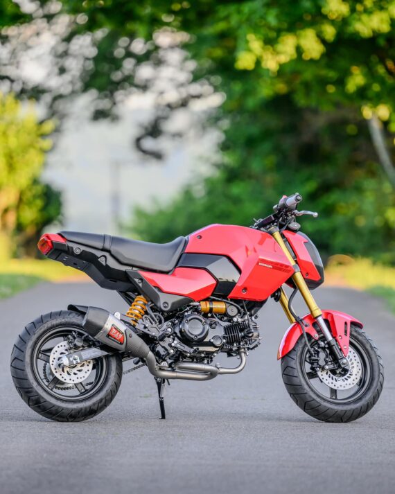 MNNTHBX Clip on Race Bars for Honda Grom