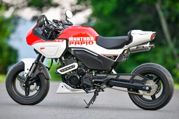 MNNTHBX Swingarm Extensions for CF Moto Papio SS /Papio CL.