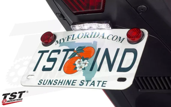 TST LED LOW-PROFILE UNIVERSAL FIT LICENSE PLATE LIGHT (LPLTST1)