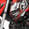 TST WORX AIRBOX COVER FOR HONDA GROM 2022+ (21HGABC=1)