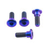 Pro Bolt - Titanium FRONT or REAR Brake Rotor Bolt Kit