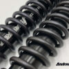 Andreani Group front fork cartridge kit "RALLY RACE" for HONDA CRF300L
