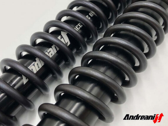 Andreani Group front fork cartridge kit "RALLY RACE" for HONDA CRF300L