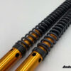 Andreani Group front fork cartridge kit "RALLY RACE" for HONDA CRF300L