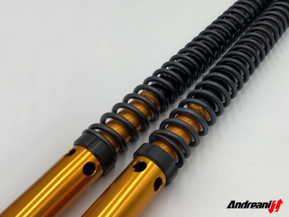 Andreani Group front fork cartridge kit "RALLY RACE" for HONDA CRF300L